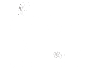 浙江申達機器制造股份有限公司
